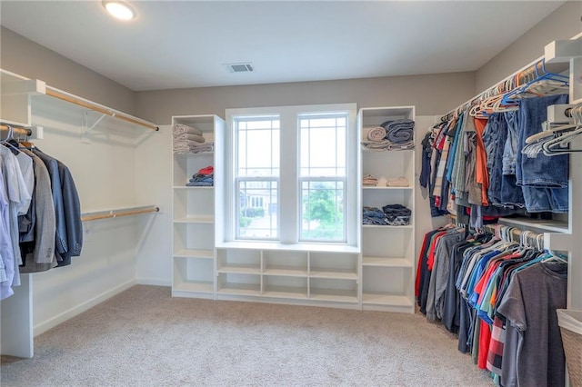 17304 S Schweiger Dr, Olathe, KS 66062 - spacious closet featuring carpet