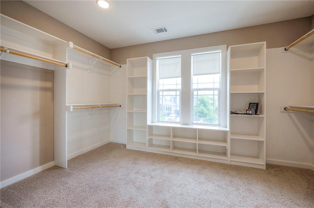 17304 S Schweiger Dr, Olathe, KS 66062 - walk in closet featuring carpet floors