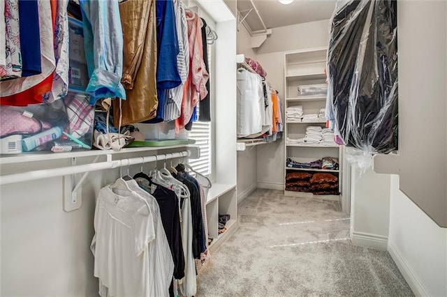 17224 Haskins St, Overland Park, KS 66062 - walk in closet featuring carpet