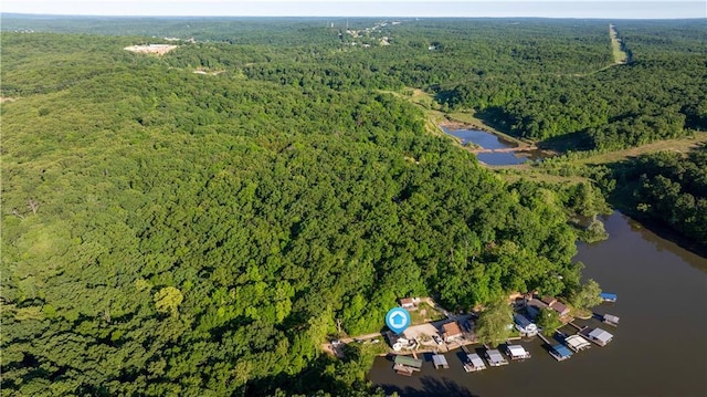 1145 Camp Branch Rd, Sunrise Beach, MO 65079 - view of property location featuring a forest and a large body of water