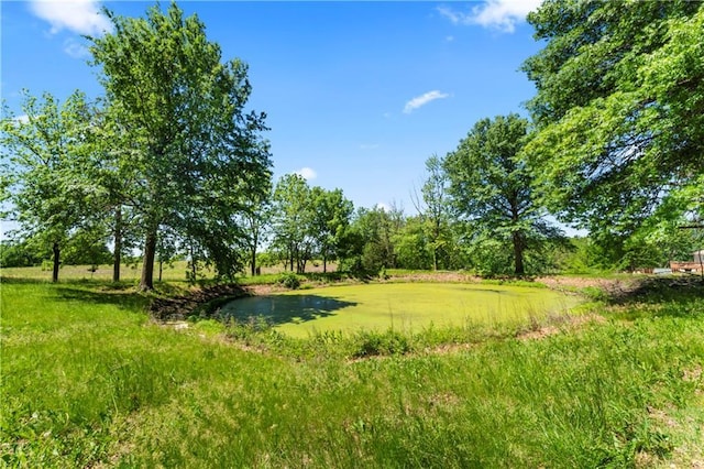 2081 Willow Ln, Excelsior Springs, MO 64024 - view of yard