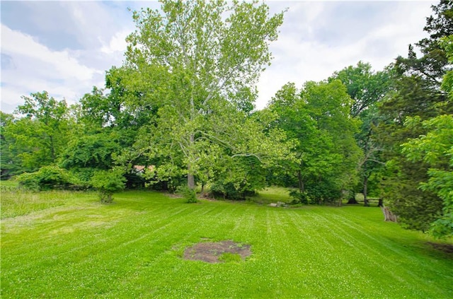 5539 NW Adrian Ave, Houston Lake, MO 64151 - view of green lawn