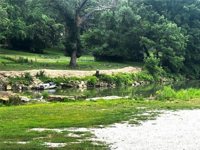 5539 NW Adrian Ave, Houston Lake, MO 64151 - surrounding community with a water view and a view of trees