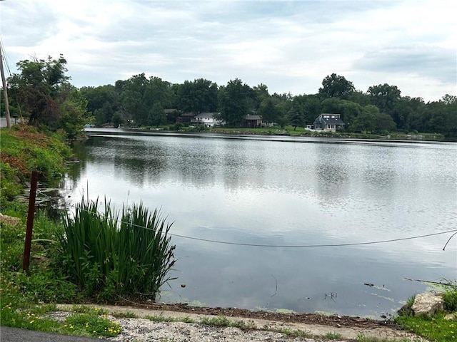 5539 NW Adrian Ave, Houston Lake, MO 64151 - water view with a forest
