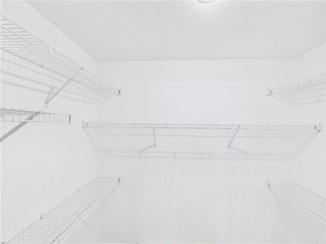 503 Quail Trl, Warrensburg, MO 64093 - view of walk in closet