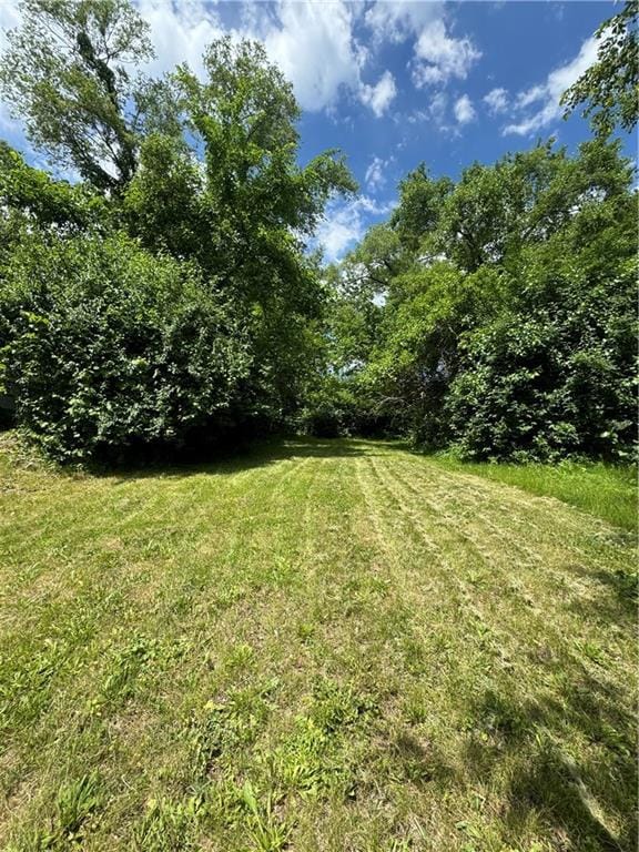 8412 Park Ave, Kansas City, MO 64132 - photo 2