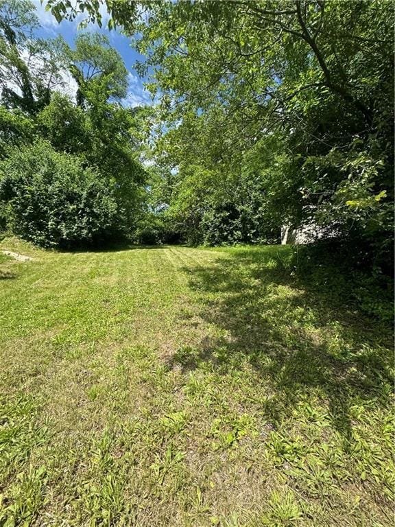 8412 Park Ave, Kansas City, MO 64132 - photo 3