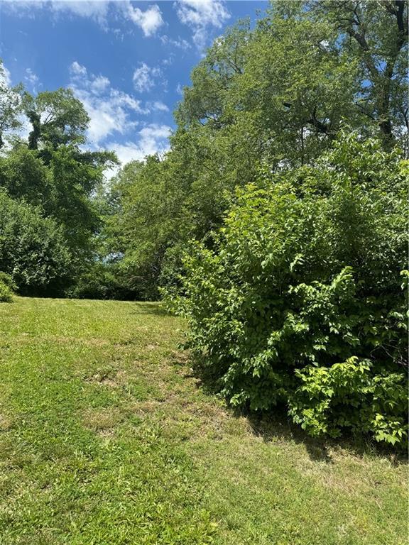 8412 Park Ave, Kansas City, MO 64132 - photo 4