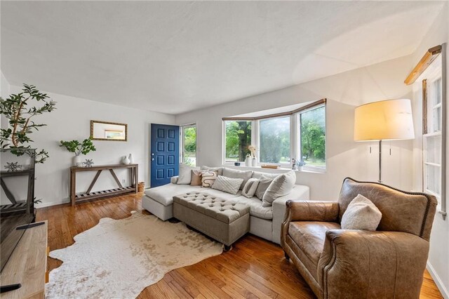 2912 W 75th St, Prairie Village, KS 66208 - living room with hardwood / wood-style floors and baseboards