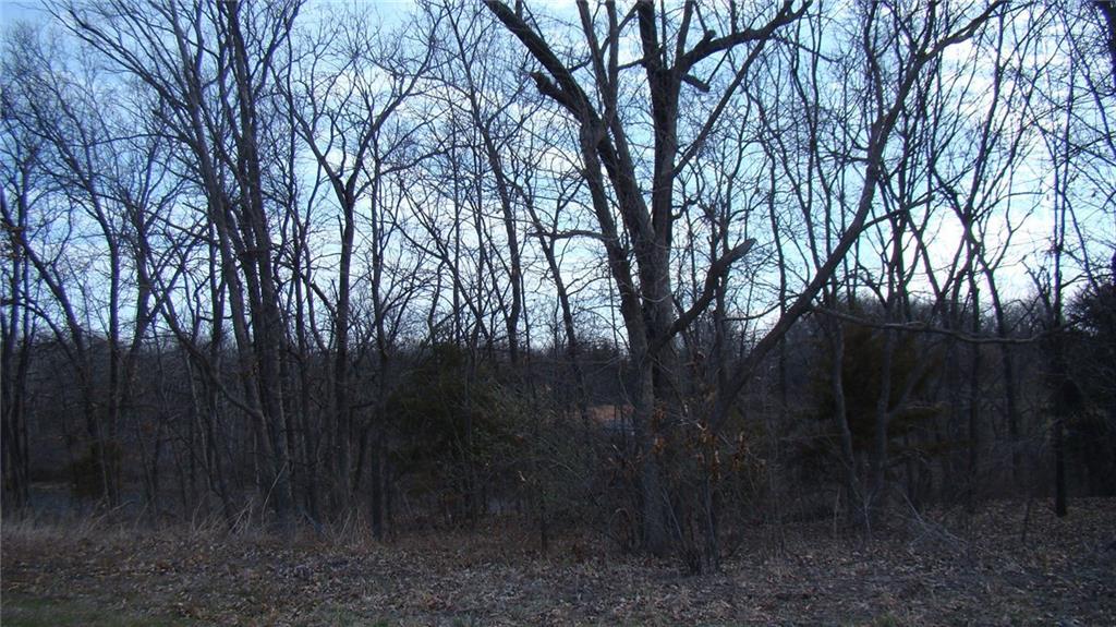 Woodman Dr, Odessa, MO 64076