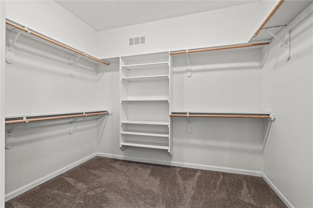 17105 Bo Cir, Tonganoxie, KS 66086 - spacious closet with carpet