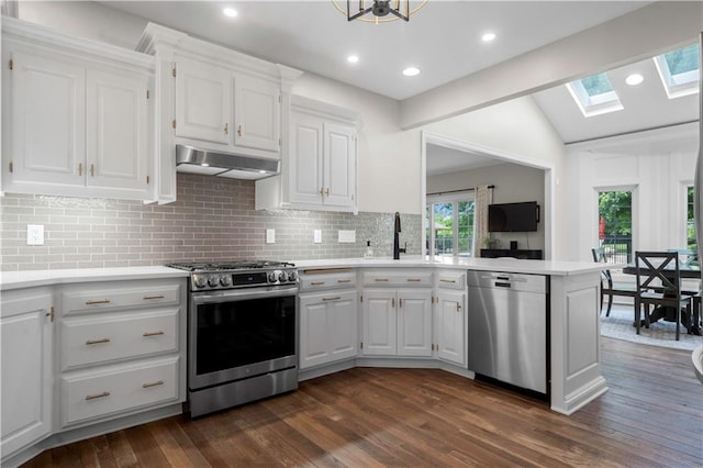 15618 Meadowbrook Ct, Raymore, MO 64083 - kitchen with stainless steel appliances, under cabinet range hood, a skylight, a sink, and dark wood-style flooring