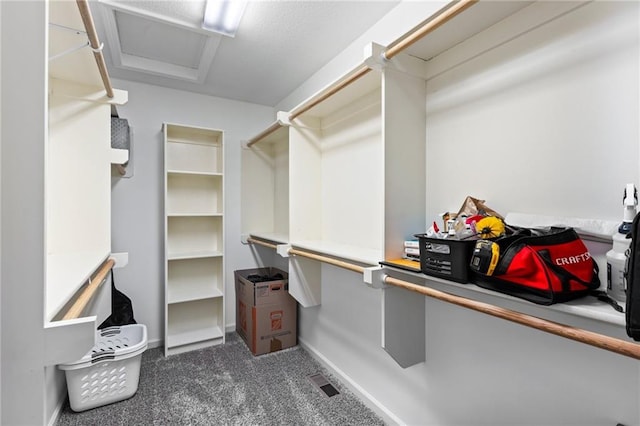 14401 Craig Ave, Grandview, MO 64030 - spacious closet featuring carpet