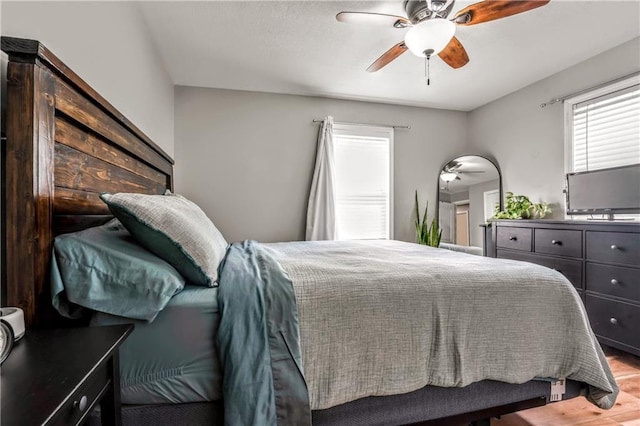 7041 Garnett St, Shawnee, KS 66203 - bedroom featuring multiple windows, wood finished floors, and a ceiling fan