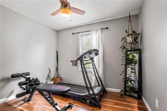 7041 Garnett St, Shawnee, KS 66203 - exercise area with wood finished floors, a ceiling fan, and baseboards