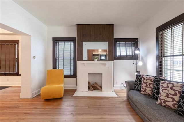 4231 Wyoming St, Kansas City, MO 64111 - living area featuring hardwood / wood-style floors, a large fireplace, and baseboards