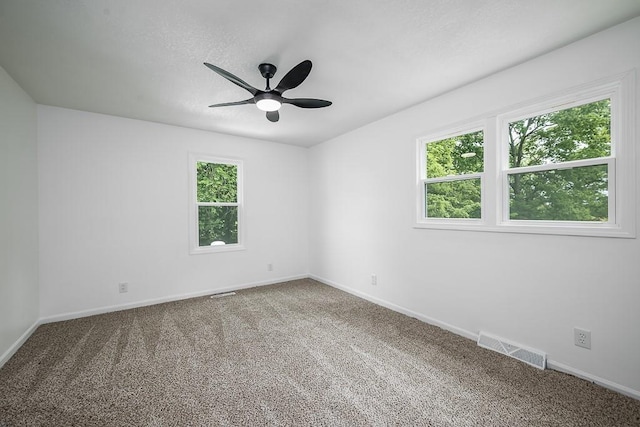 23852 Haigwood Rd, Tonganoxie, KS 66086 - empty room featuring ceiling fan, carpet, and plenty of natural light
