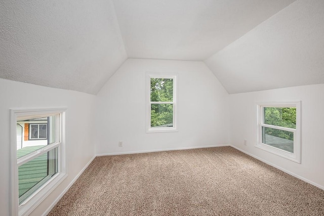 23852 Haigwood Rd, Tonganoxie, KS 66086 - bonus room with carpet floors, lofted ceiling, and baseboards
