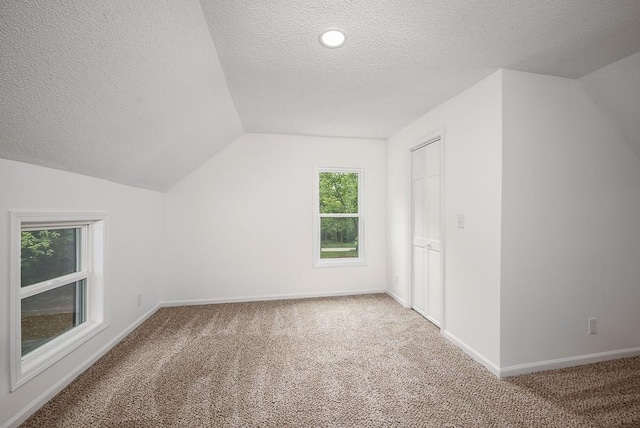 23852 Haigwood Rd, Tonganoxie, KS 66086 - bonus room with a textured ceiling, carpet flooring, lofted ceiling, and baseboards