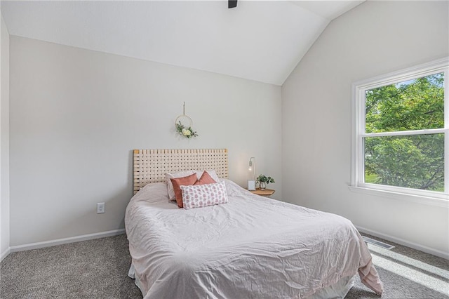 1345 NE Foxwood Dr, Lees Summit, MO 64086 - carpeted bedroom with lofted ceiling and baseboards