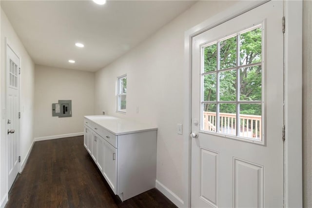 6201 N Topping Ave, Kansas City, MO 64119 - entryway featuring electric panel, dark wood-type flooring, baseboards, and recessed lighting