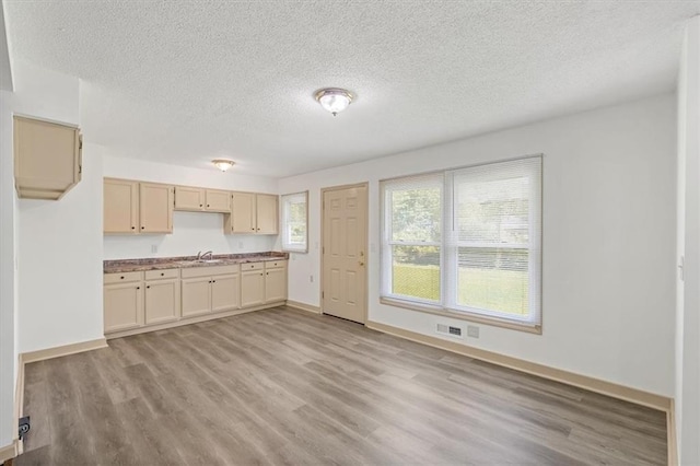 10720 Sycamore Ter, Kansas City, MO 64134 - kitchen with light wood-style flooring, a textured ceiling, baseboards, and a sink