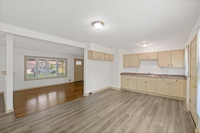 10720 Sycamore Ter, Kansas City, MO 64134 - kitchen featuring light wood-type flooring, a sink, a textured ceiling, baseboards, and open floor plan