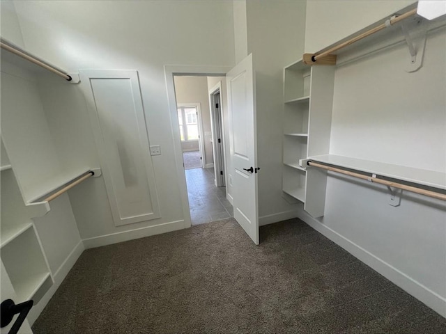 1516 SW Arborpark Ter, Lees Summit, MO 64082 - spacious closet featuring carpet