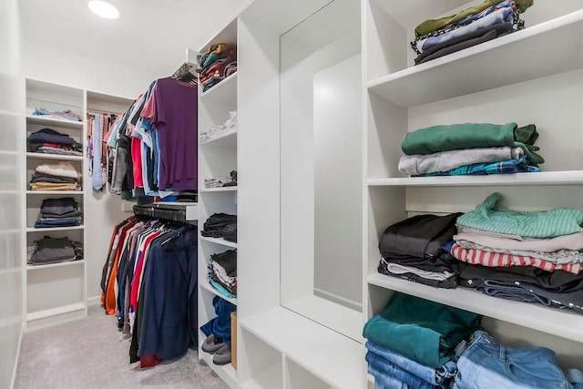 17756 Shady Bend Rd, Gardner, KS 66030 - spacious closet with carpet