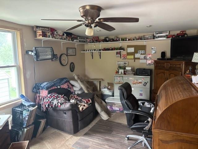1119 Mound St, Atchison, KS 66002 - office space featuring ceiling fan, healthy amount of natural light, and wood finished floors