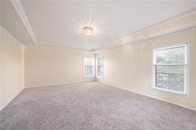 8901 W 128th St, Overland Park, KS 66213 - unfurnished room featuring crown molding, carpet floors, plenty of natural light, and a tray ceiling