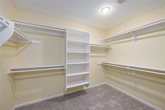 8901 W 128th St, Overland Park, KS 66213 - spacious closet featuring carpet