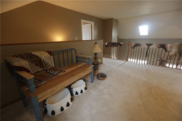 1744 21st Rd, Waverly, KS 66871 - living area with carpet flooring
