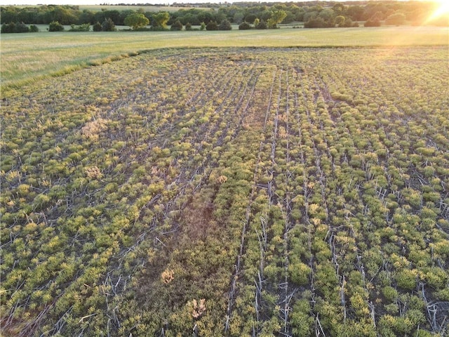 1744 21st Rd, Waverly, KS 66871 - aerial overview of property's location