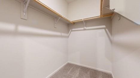 567 W Fountain St, Gardner, KS 66030 - walk in closet with carpet floors