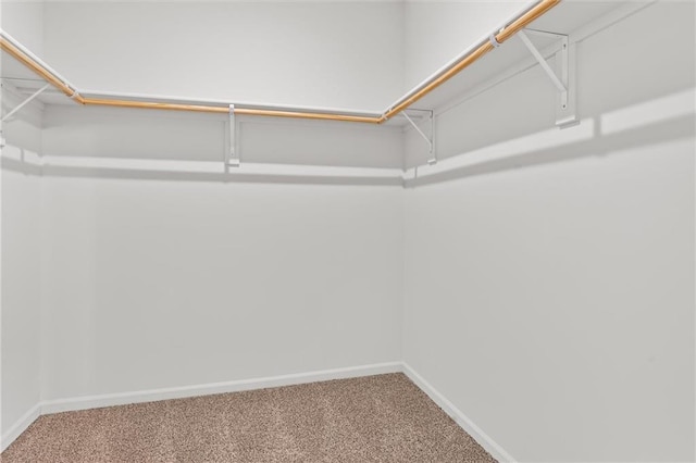 597 W Fountain St, Gardner, KS 66030 - walk in closet with carpet flooring