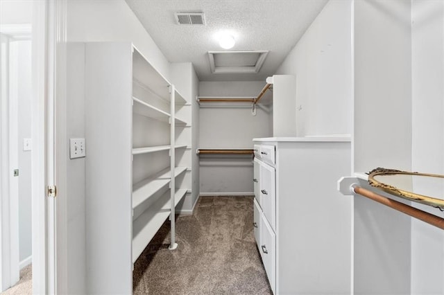 14155 W 147th Ter, Olathe, KS 66062 - walk in closet with light carpet and attic access