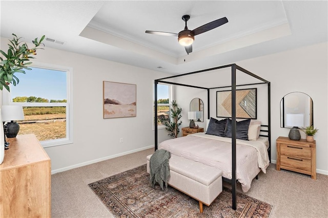 20714 Emerald St, Spring Hill, KS 66030 - bedroom featuring a tray ceiling, light colored carpet, ornamental molding, and baseboards