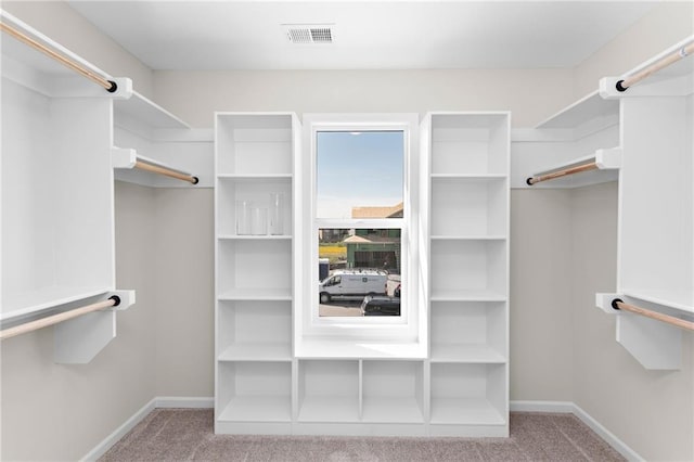 20714 Emerald St, Spring Hill, KS 66030 - walk in closet with carpet floors