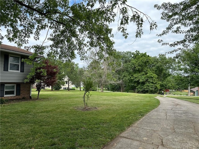 609 N Broadway St, Knob Noster, MO 65336 - view of green lawn