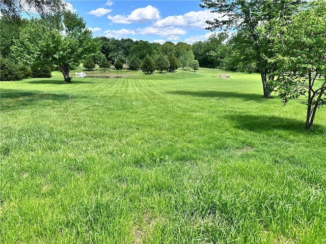 14409 Tillman Rd, Smithville, MO 64089 - view of green lawn