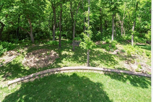 906 Cheatham Ct, Warrensburg, MO 64093 - view of grassy yard