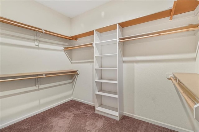 906 Cheatham Ct, Warrensburg, MO 64093 - walk in closet featuring carpet floors