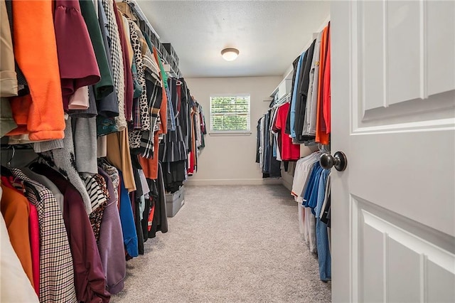 5021 NW Timberline Dr, Riverside, MO 64150 - walk in closet with light carpet