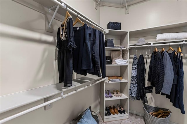 16904 S Bradley Dr, Olathe, KS 66062 - view of spacious closet