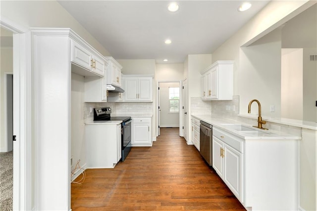 20105 Crestone St, Spring Hill, KS 66083 - kitchen featuring stainless steel appliances, a sink, a peninsula, under cabinet range hood, and recessed lighting