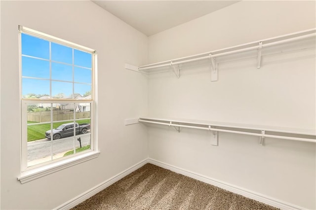 20105 Crestone St, Spring Hill, KS 66083 - spacious closet featuring dark colored carpet