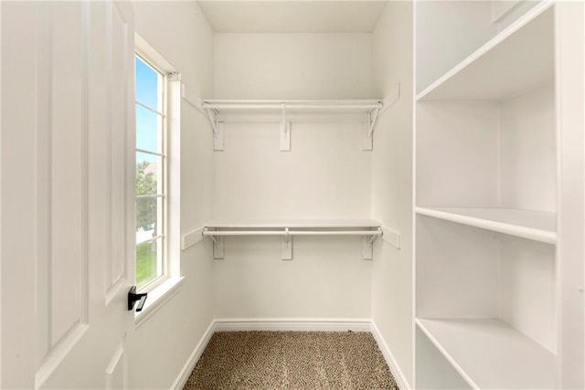 20105 Crestone St, Spring Hill, KS 66083 - walk in closet featuring carpet flooring