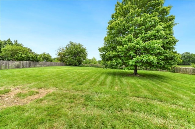20105 Crestone St, Spring Hill, KS 66083 - view of yard