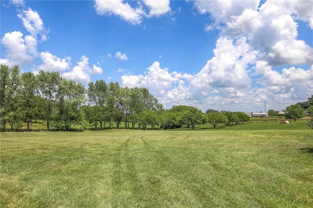 20012 138th St, Kearney, MO 64060 - photo 48